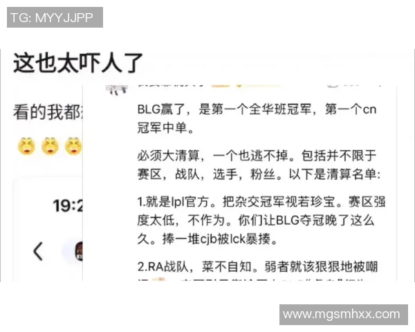 王者荣耀热议BLG实力之争引发的多方观点与分析