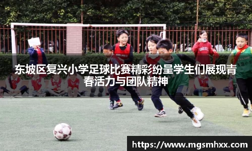 东坡区复兴小学足球比赛精彩纷呈学生们展现青春活力与团队精神
