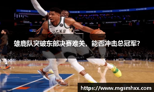 雄鹿队突破东部决赛难关，能否冲击总冠军？