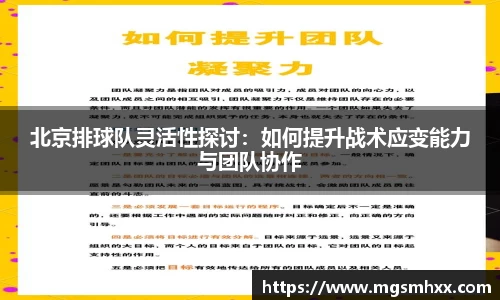 北京排球队灵活性探讨:如何提升战术应变能力与团队协作
